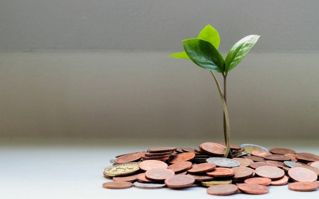 image of a plant growing from coins | music lessons are worth it colorado music school